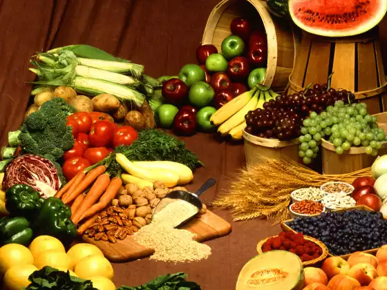 The Power of Plant-Based Eating