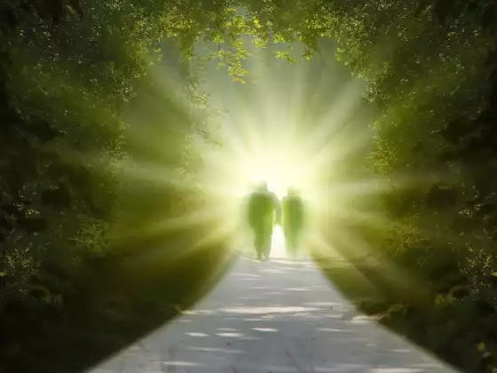 Meditation & Channeled Messages 