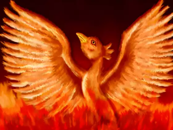 Phoenix Fire and the 5 Steps of Change