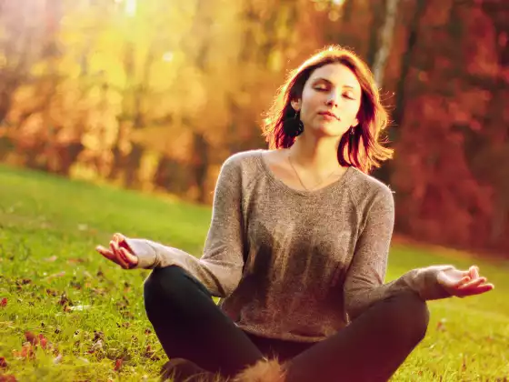 Guide to Mindfulness Meditation & Practice
