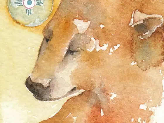 Voices from Spirit - Bear Medicine
