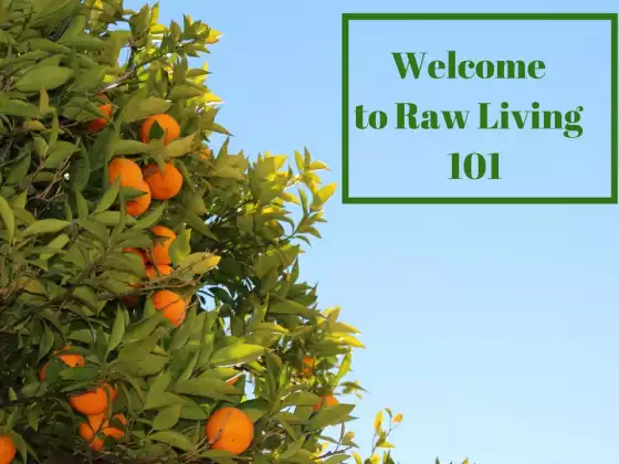 Raw Living 101 