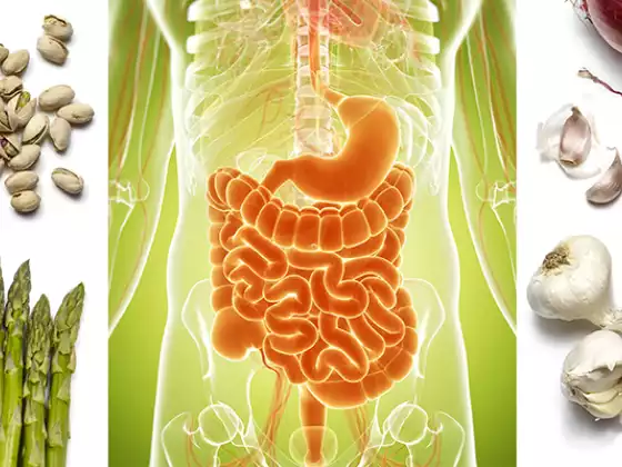Gut Health and Why It's So Important