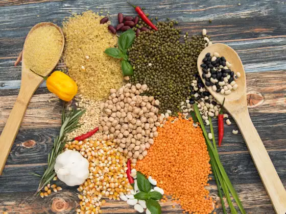 How to Include Beans in a Healthy Plant-Based Diet 