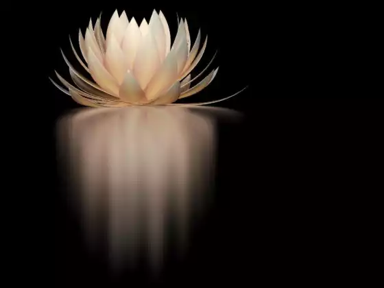  The Power of 3 -  Intuitive Development for Manifestation 