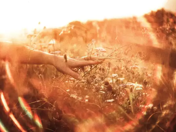 Spiritual Amnesia #2: A Channeling with Grace and Maitland