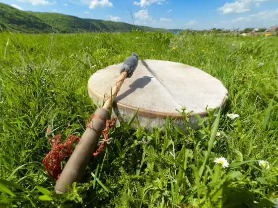 A Shamanic Drumming Journey: Deepen Your Relationship with Plants