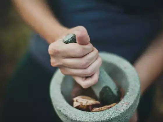 Ayurveda's Three Pillars of Health