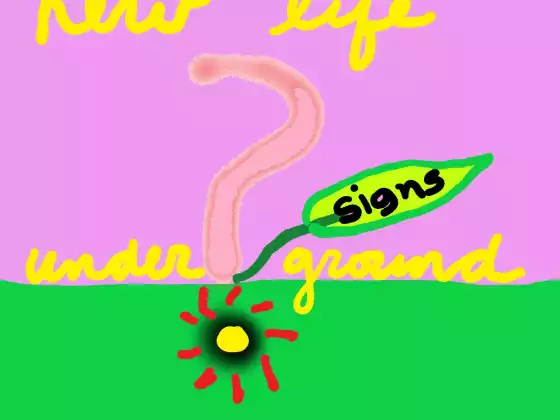  Follow-up Intuition Class: “Maybe I’m Making Up the Answer, Telling Myself What I Want 