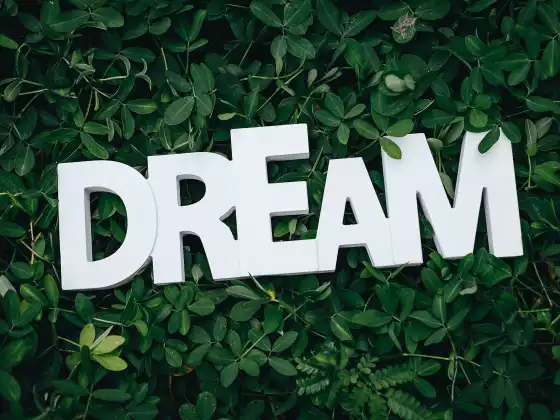 Dare to Dream 101 Giving yourself Permission