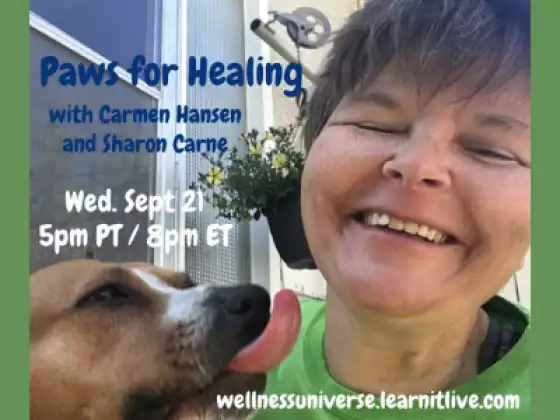Paws for Healing