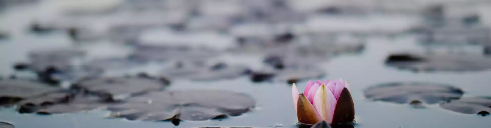 La serie Mindful Soul - Online Class by Jamie Butler
