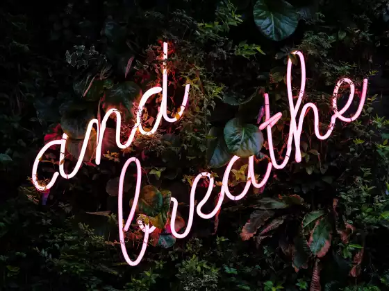 Subtle Differences Between Understanding and Acceptance: A Channeling with Grace and Maitland