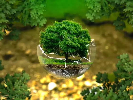 能量疗愈和保护祝福