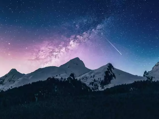 誰是天狼星星際種子？