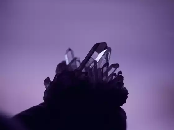 骶脈輪 101