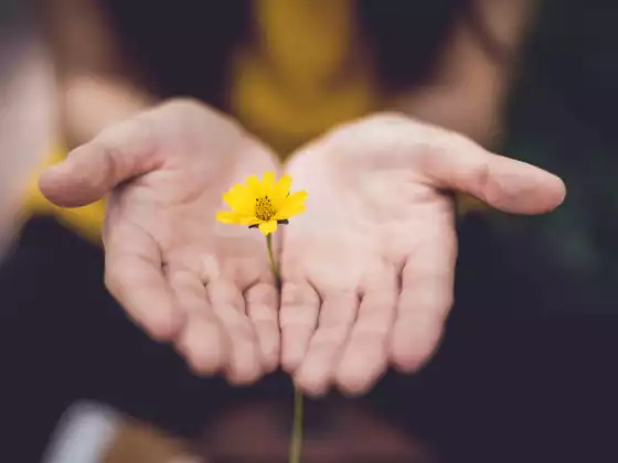 Mindfulness: Access Your Intuition