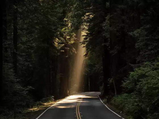 Shamanism 101- The Shamanic Journey