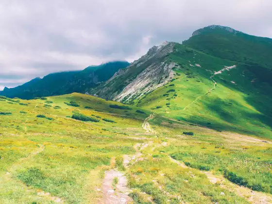 Shamanism 101- The Shamanic Journey