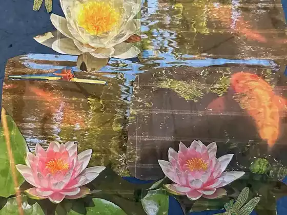 Lớp chữa bệnh