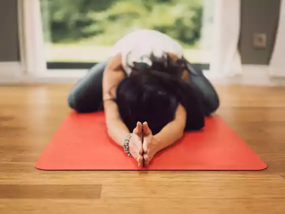 Get up and Get going with 30 min movement series