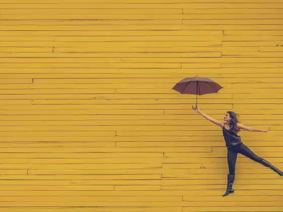 Amplify Your Potential: Feminine Leadership