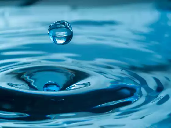 अपने हीलिंग कंपन को सक्रिय करें: जैसे ही आप खुद को ठीक करते हैं, आप दुनिया को ठीक करते हैं