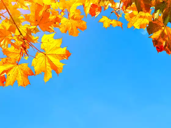 Yin Yoga per la gratitudine