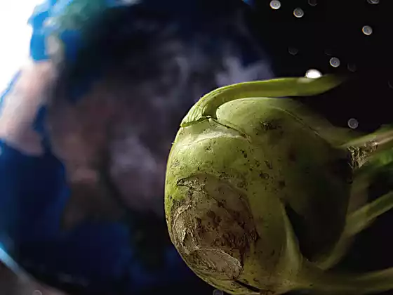 10 Out-of-This-World Fruits and Veg to Try
