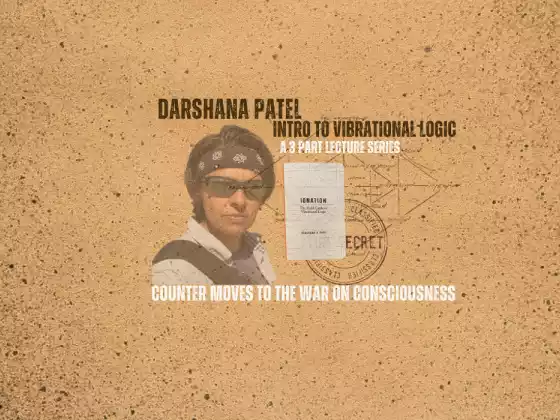 Intro to Vibrational Logic: Counter Moves to the War on Consciousness