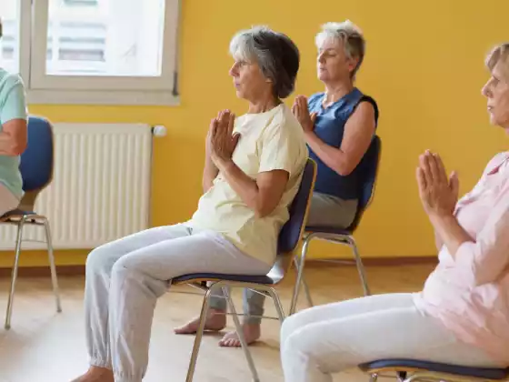 Seated Surya: Chair Yoga Sun Salutations Workshop (3 part series)