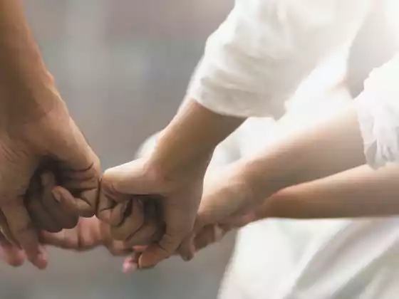 کامیاب تعاون کے لیے بہترین طریقے