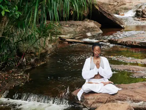 Gassho Gateway: Heart-Centered Meditation for Reiki Practitioners