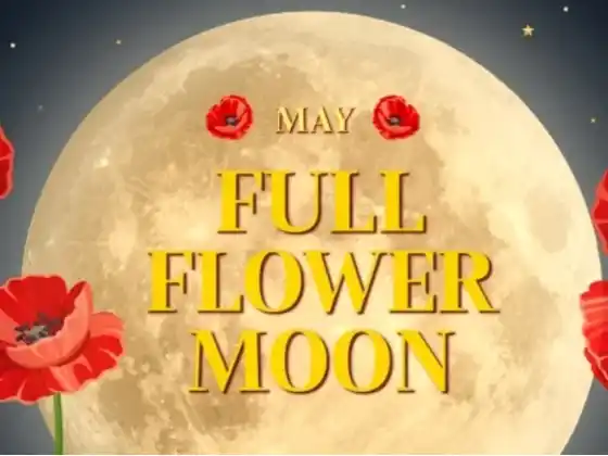 Meditación de luna llena