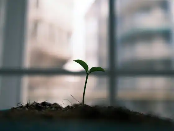 Làm thế nào việc chữa bệnh bằng năng lượng trở thành hội thảo trực tuyến về thể chất 3