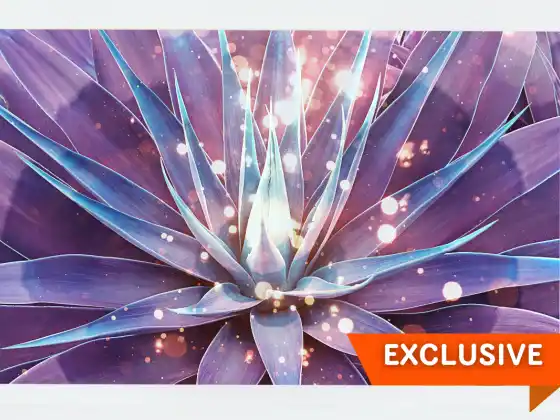 Spring Equinox Clearing Cord Cutting and Healing