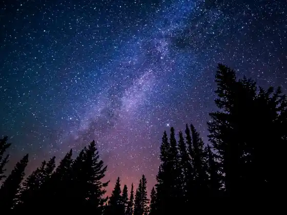 Interconnectedness - a channeling with Athena