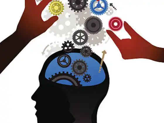 אימון מחדש של סדרת Brain