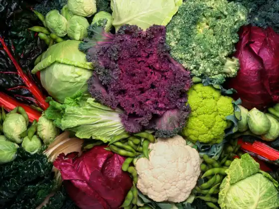 Four Things to Do with Cruciferous Vegetables - New material! Update for 2025!