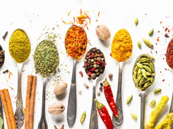 Veg Around the World: Transform Everyday Veggies with Global Flavors - NEW CONTENT!