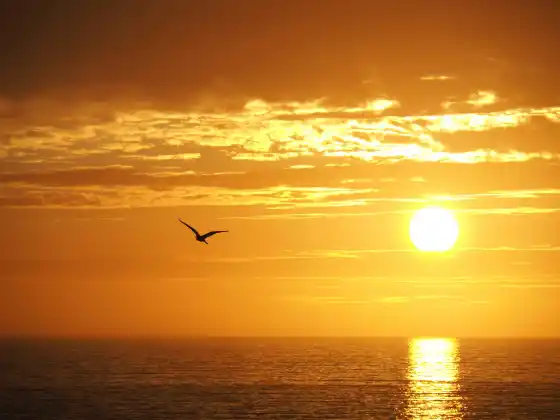 Peaceful Warrior – Trance-channeling Yeshua