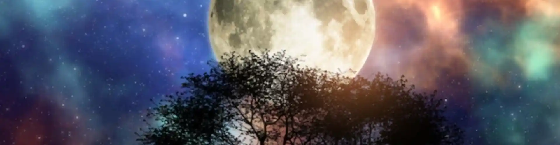 পূর্ণিমা চক্র ধ্যান - Online Class by Cassaundra Paolini