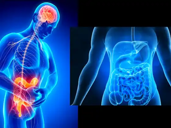 Direct your Body to Heal the Digestive Tract 