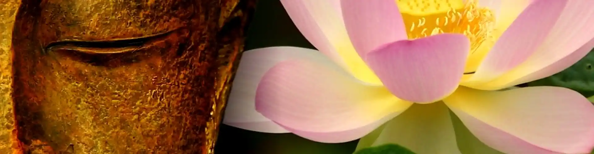 Reiki Nível Dois - Online Class by Cassaundra Paolini