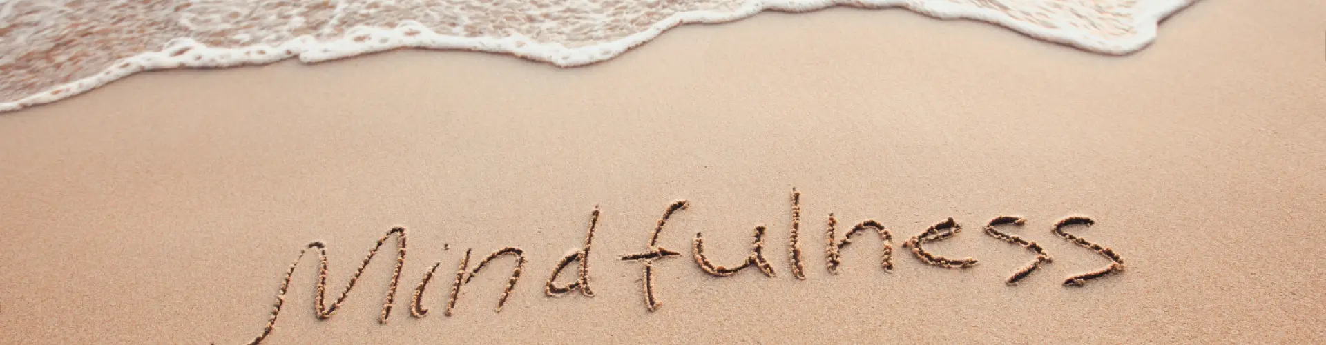 Mindfulness Series - Online Class by Maureen  Doran