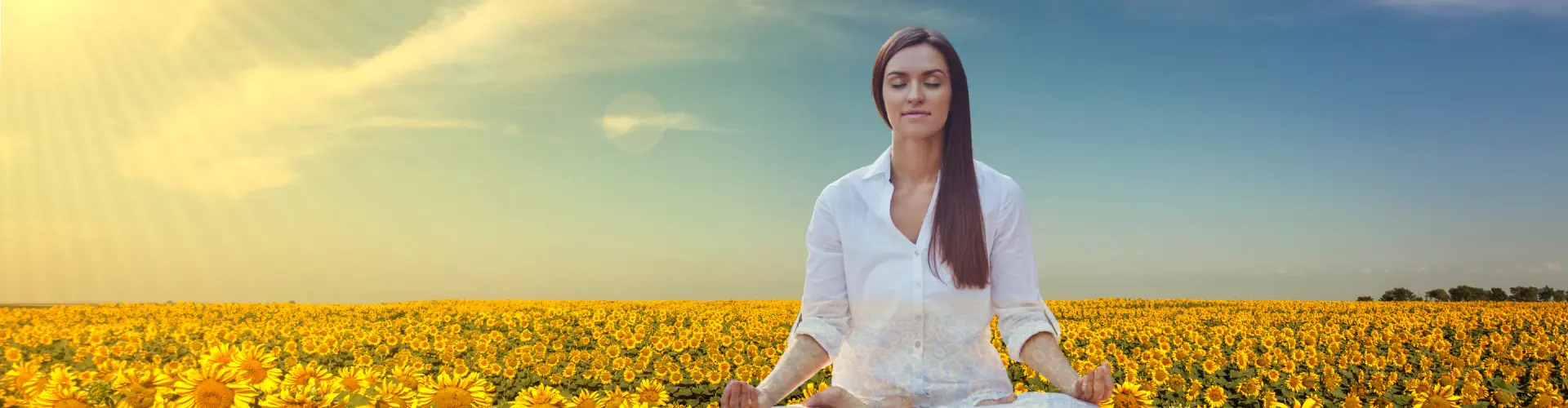 Bundle: סימפוזיון היפוך הקיץ - Online Course by Learn It Live